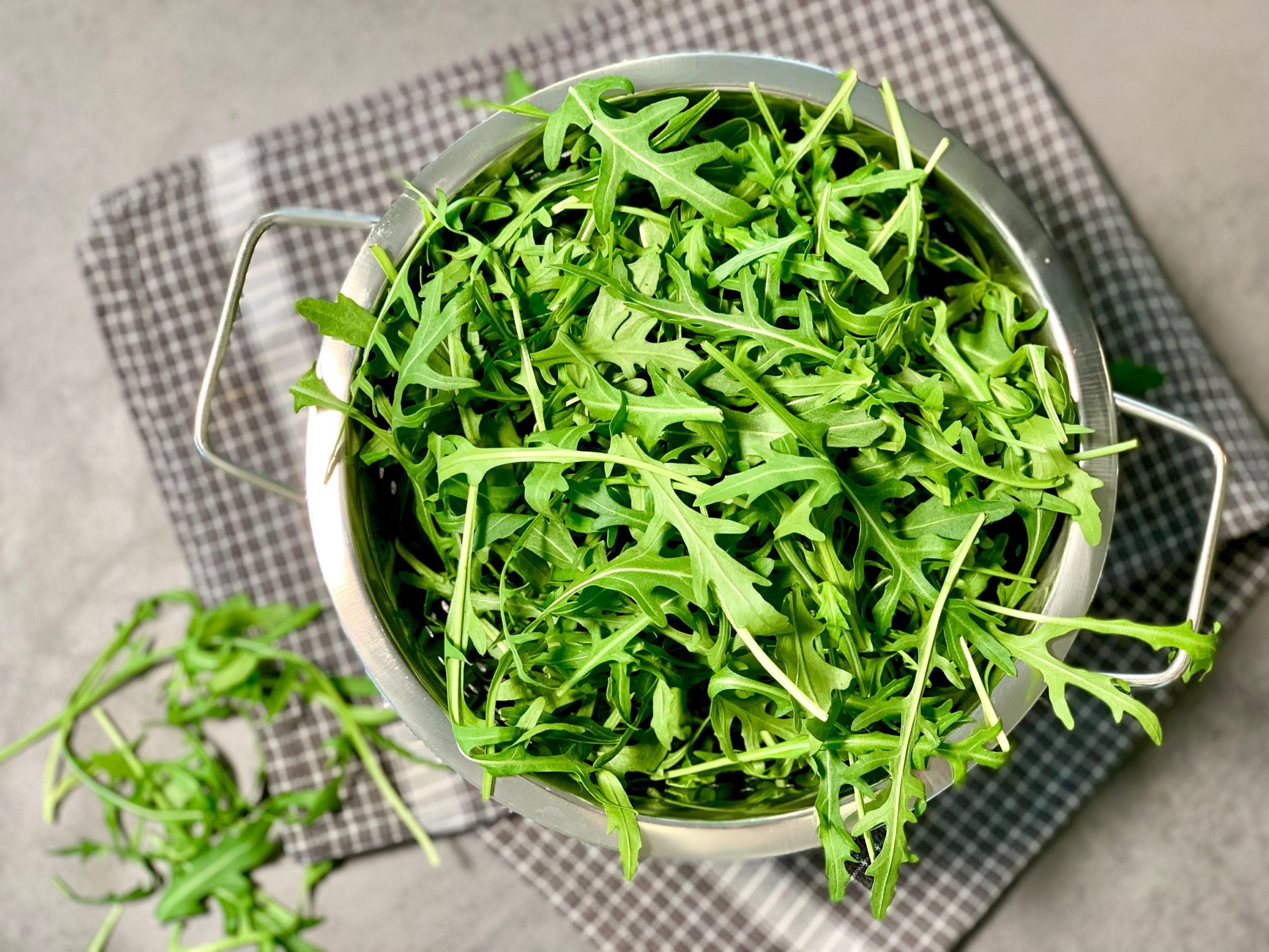 Rucola - Essen Wissen Stiftung Eildermann