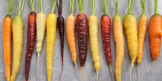 Colorful carrots on a gray ceramic background.