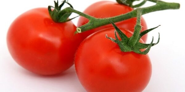 Tomate 1